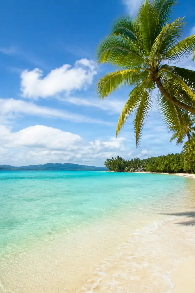 Plage tropicale avec palmiers et eau turquoise