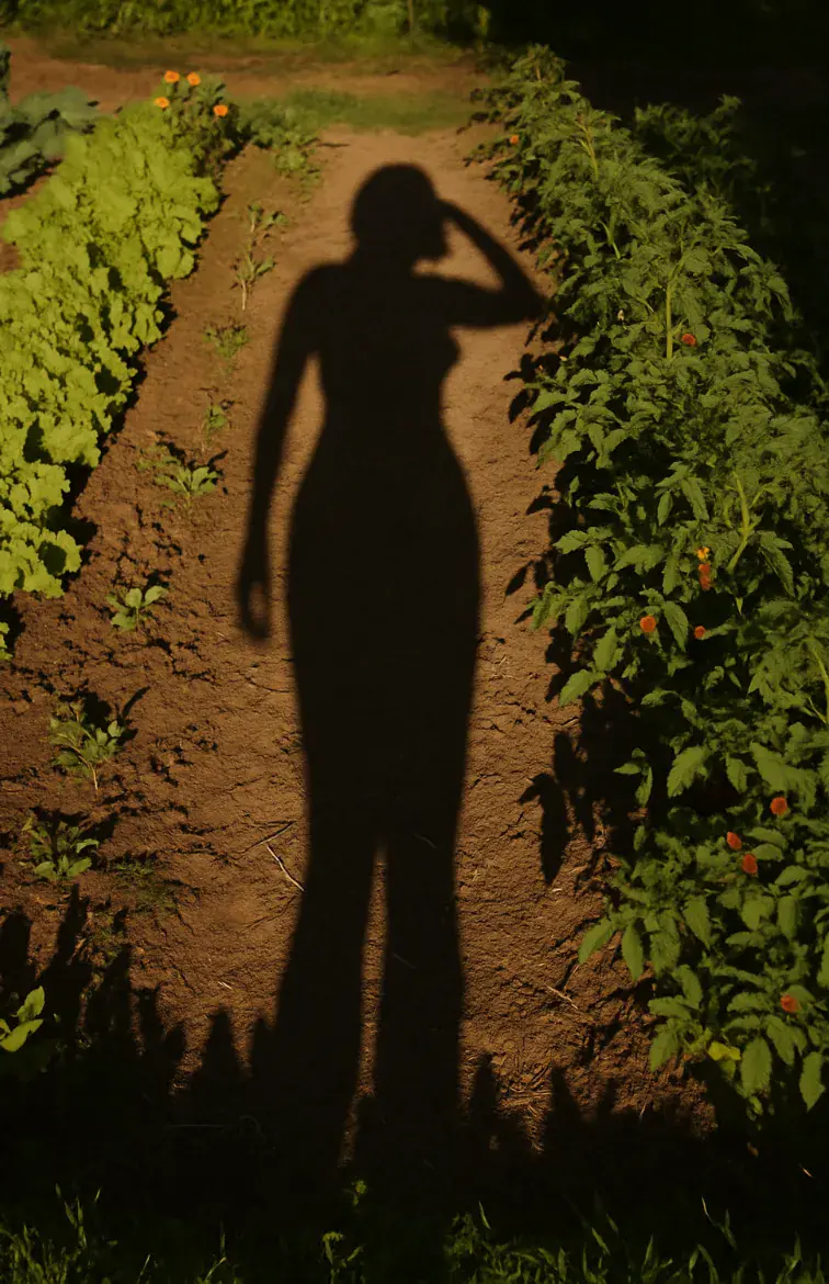 Ombre de femme sur un potager pour la journée mondiale du jardinage nu