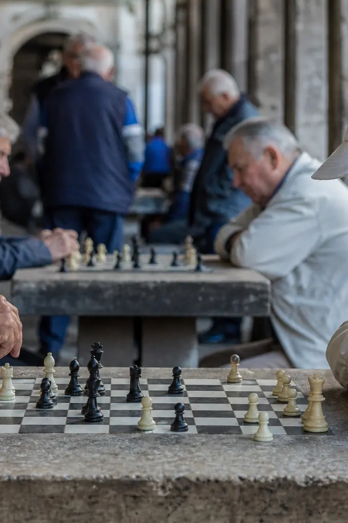 Joueurs d'échecs sur des tables en pierre dans un parc urbain